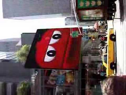 piet zoomers in new york