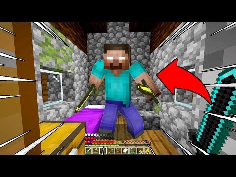 HO ATTACCATO HEROBRINE !!! (Minecraft 1.14.2 ITA)