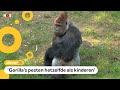 Zo gaat pesten in de dierenwereld
