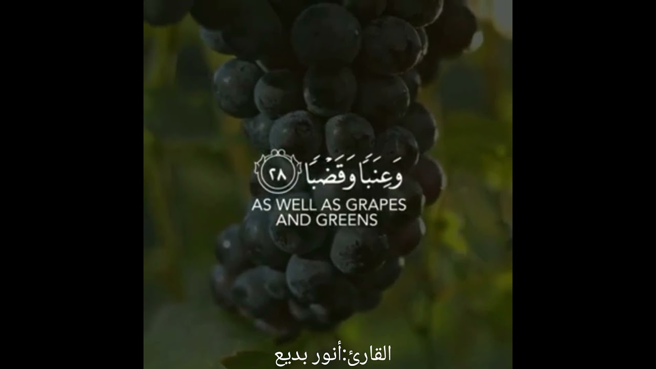 ف ل ي نظ ر الإ نس ان إ ل ى ط
