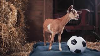 Lay's the best in the world