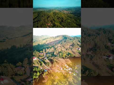 Reserva Forestal El Montuoso en Chepo de las Minas en Herrera
