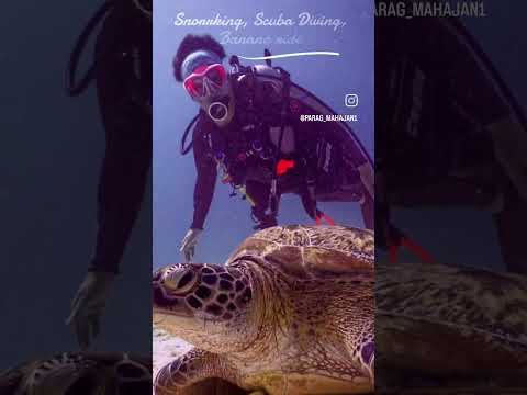 #AndamanTour  #AndamanIslands #AndamanVacation #AndamanBeach  #AndamanHolidays #AndamanAdventure