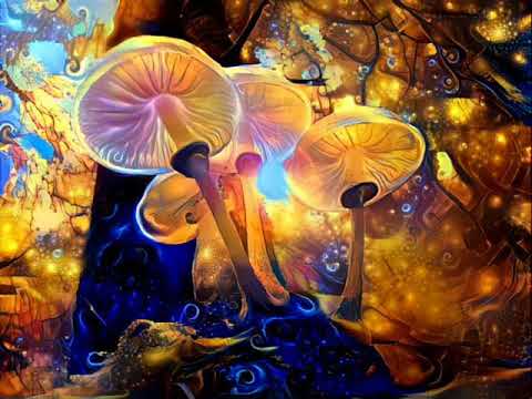 Static Movement  - Live Set RadiOzora [2018]