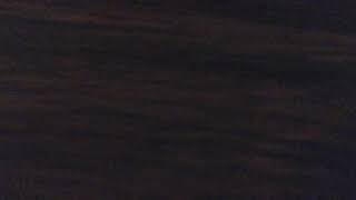 Classic Sesame Street: Frogs In The Glen (Intro &amp; Outro Instrumental)