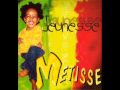 Metisse - What to do 