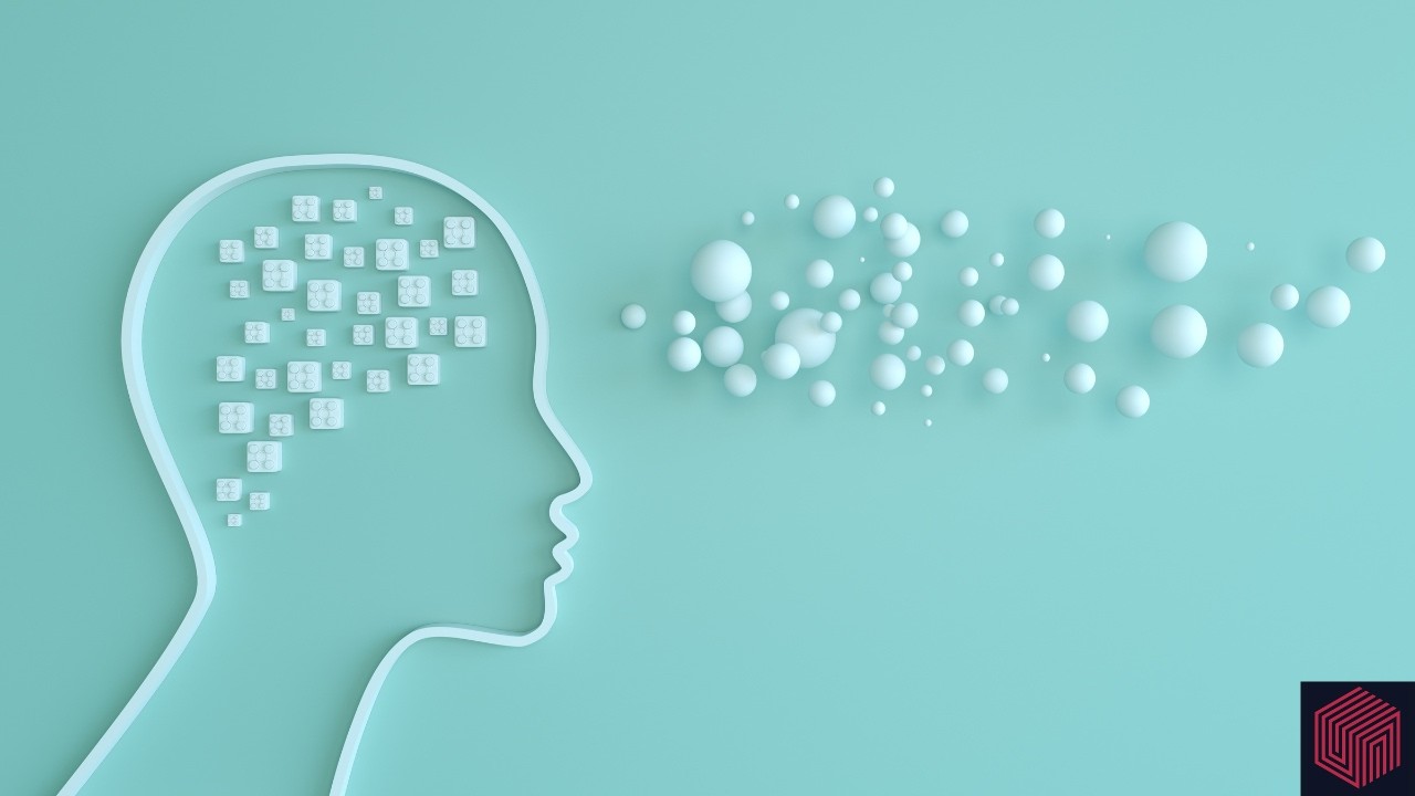 Neuroeducation Explained: How to Unlock Your Brain’s Full Learning Potential