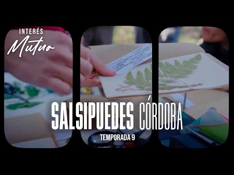 Salsipuedes (Córdoba) - Interes Mutuo (Temporada 9)