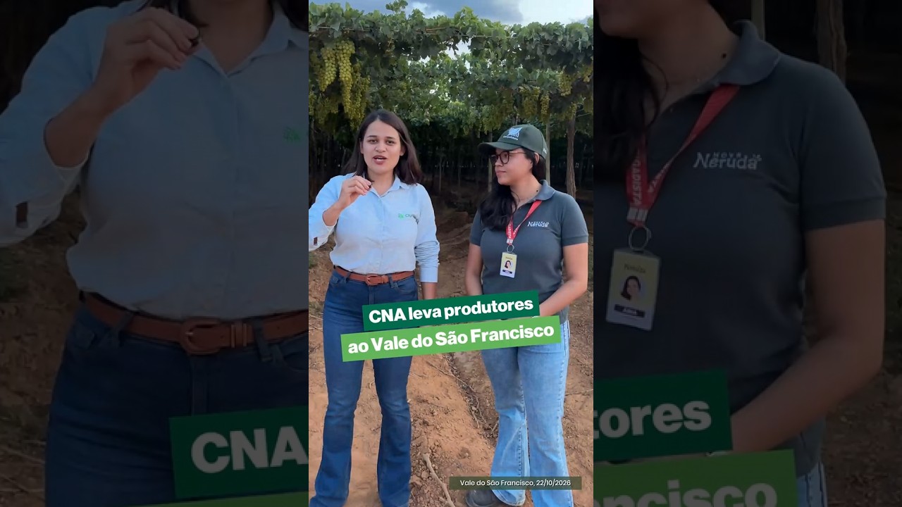 CNA debate ações para fortalecer a fruticultura e ampliar oportunidades no mercado externo