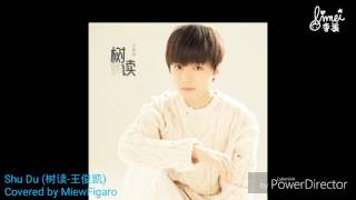 Shu Du - Karry Wang (树读-王俊凯) Covered by MiewFigaro