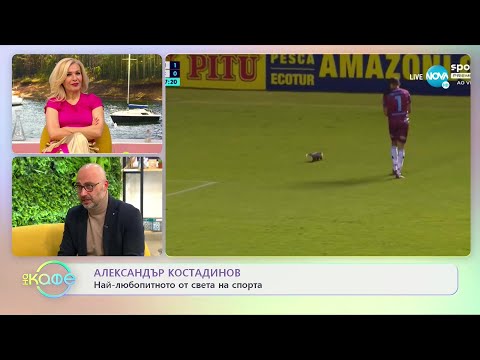 Най-любопитното от света на спорта - „На кафе” (19.04.2022)