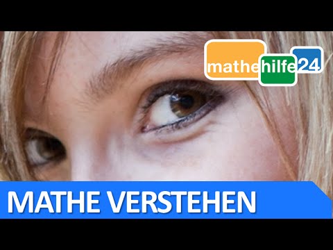 Kurvenschar Funktionenschar Symmetrie 1.1