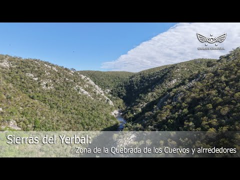 Sierras del Yerbal Zona de la Quebrada de los Cuervos y alrededores, Treita y Tres, Uruguay.