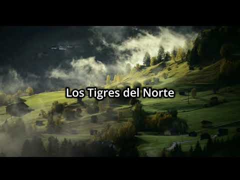 Los Dos Plebes- Tigres del Norte (Letra)