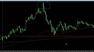 обжорик 30.03.2019