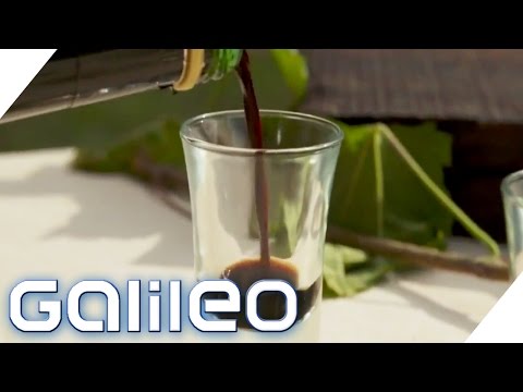 The Way of Balsamic Vinegar | Galileo Lunch Break