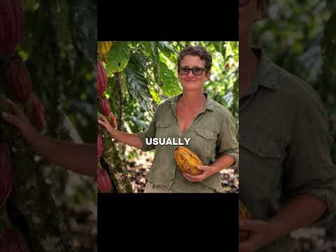 7 days on Aore Island