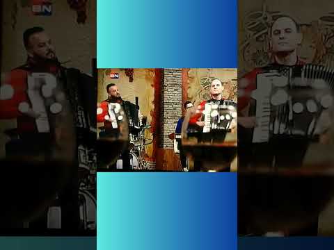 Vlada Veselinović i orkestar Borka Radivojevića na BN TV #harmonika  #live #kolo