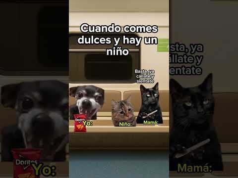 Cuando vas comiendo papas en el metro y un niño te pide #humor #comedy #cats #storycat
