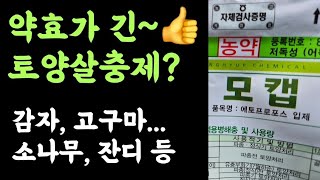 모캡입제