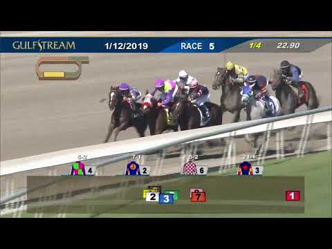Best Trebol (DOM) - 01/12/19 Race 5
