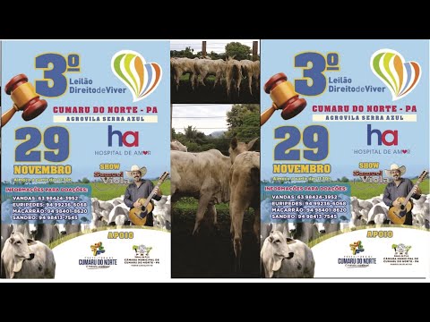 📍💻 ▶️ 3º LEILÃO HA - Direito de Viver 💻 Em Cumaru do Norte - Pará -▶️29 de Novembro ás 13:30h