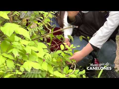 Sendero de interpretación ambiental Canelón Chico Municipio de Canelones