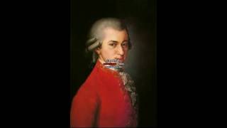 Petite musique de nuit - Mozart (1er mouvement)