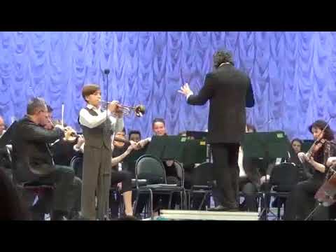 "Концертный этюд", А.Гедике