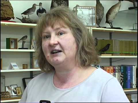 Vorgestellt: Neues Kinderuni-Semester in Hoyerswerda