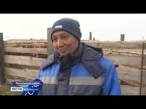 В Калмыкии расширяют возможности ветеринарной службы