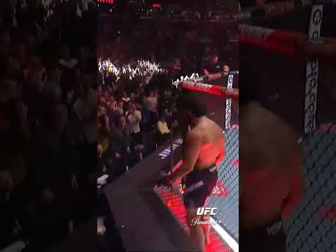 UFC video artwork