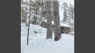 Snow Burdened Branches