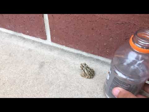 Oziel the third 👌🏻