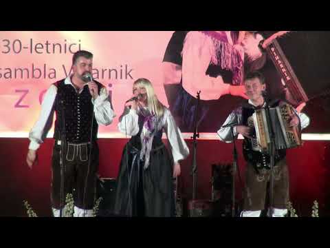 Ansambel Viharnik - Kamnik, naše mesto (v živo9