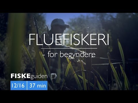 Fluefiskeri for begyndere med Gordon P. Henriksen