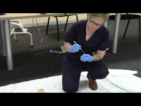 19.h Administration of Adrenaline IMI