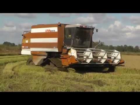 orgoglio lomellino, vanto sannazzarese