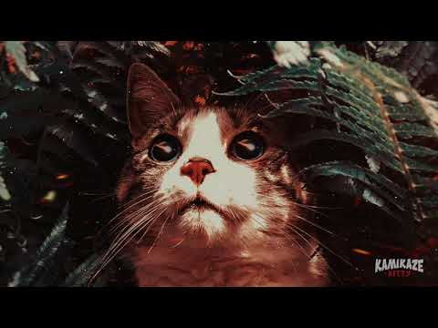 Kamikaze Kitty - Ode to Earth