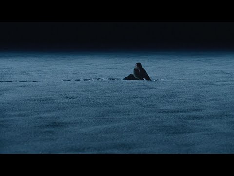 m b v - she found now