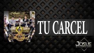 Alta consigna - TU Carcel