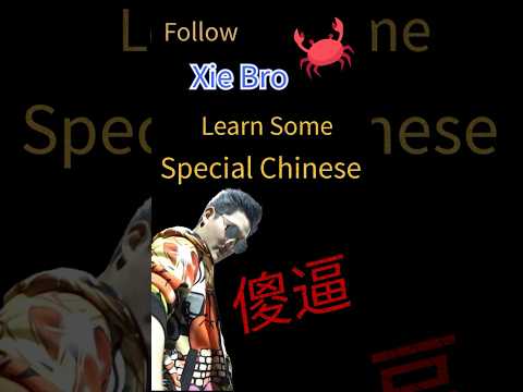 Learn Chinese phrases with Xie Bro: \傻逼\ (Stupid cunt) #china #chinese #funny #learnchinese