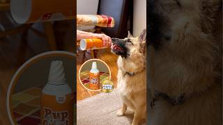 Paw Picks: Pup Cup Pumpkin Whipped Cream
