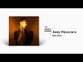 Joey Pecoraro - Bed Head ☕