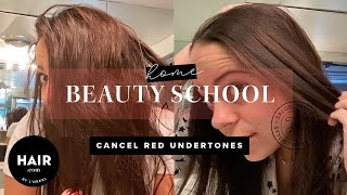 How To Cancel Red Undertones | Beauty Home School | Hair.com By L