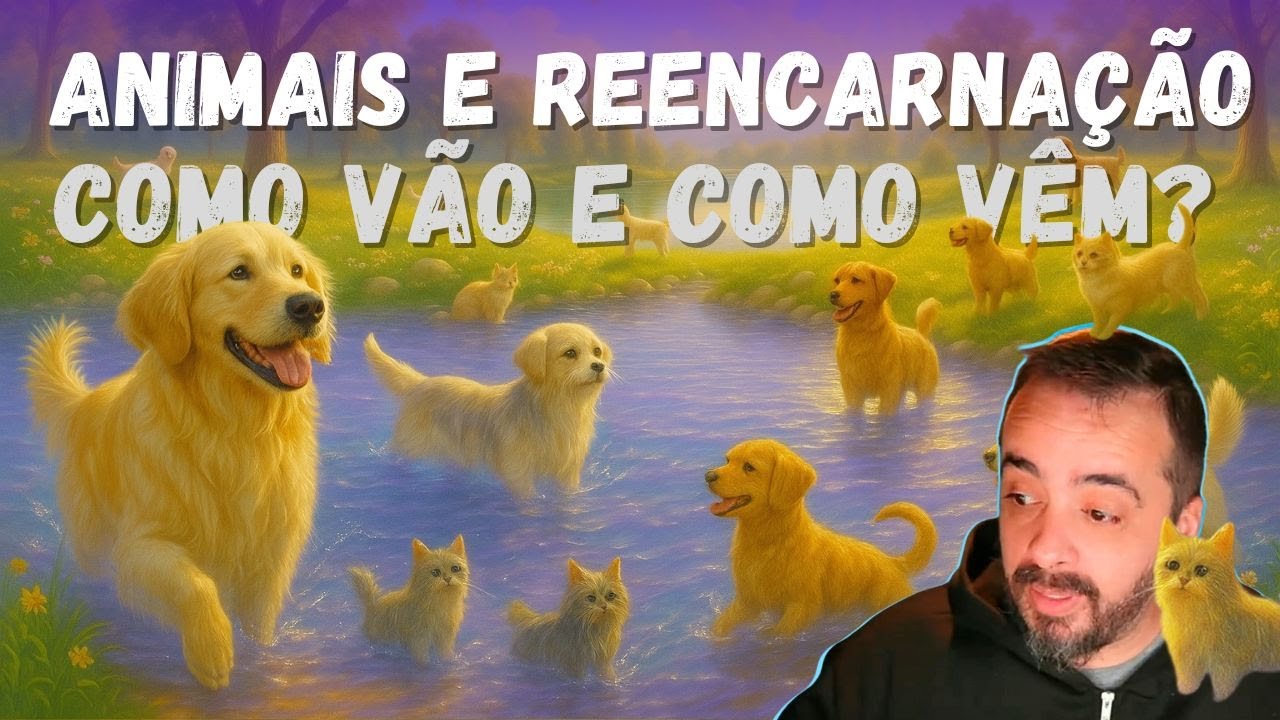 ANIMAIS E REENCARNAÇÃO - COMO VÃO E COMO VEM?