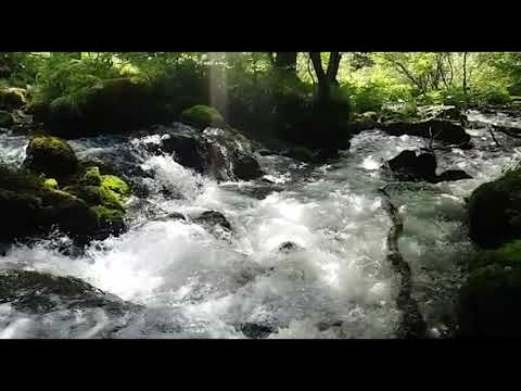 Izvoarele Cernei în Parcul Național Domogled - Valea Cernei din cadrul Romsilva