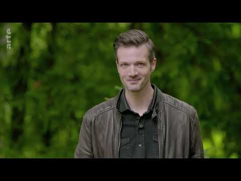 X:enius: Eichhörnchen - Keine rosige Zukunft Doku (2020)