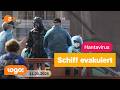 Hantavirus Cruise Ship Evacuated And Patients Isolated Logo News From May 11 2026