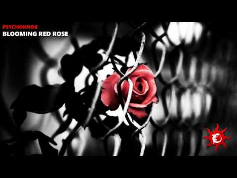 PsYchoKNOX - Blooming Red Rose